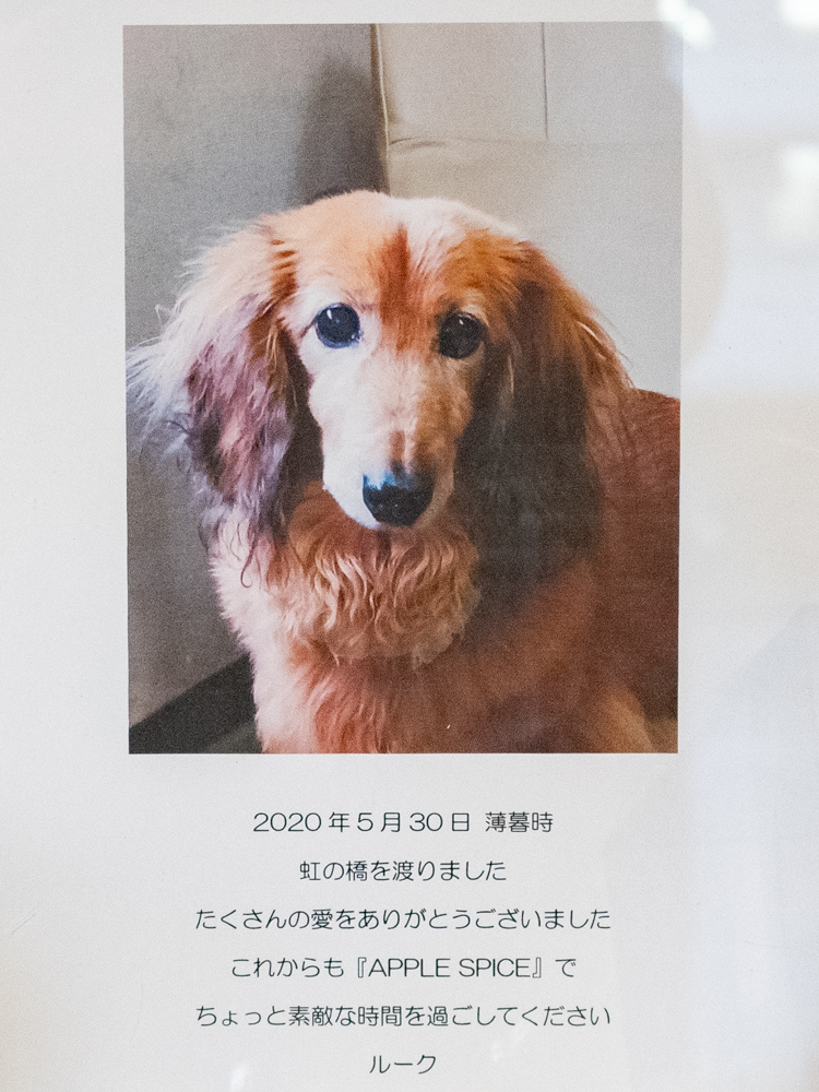 アップルスパイス:看板犬 リーク