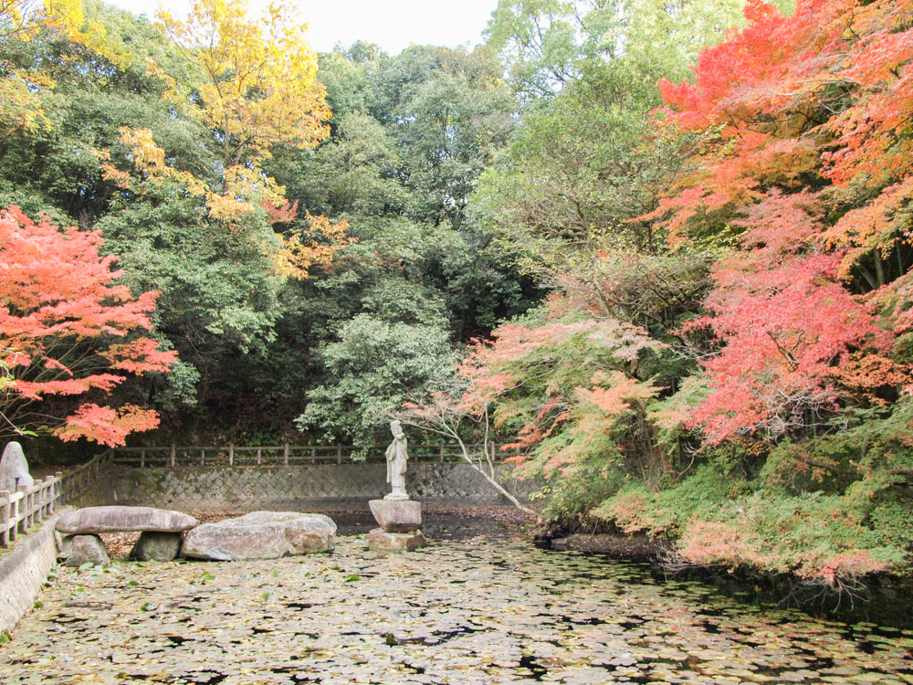 明王院:弁天池の紅葉