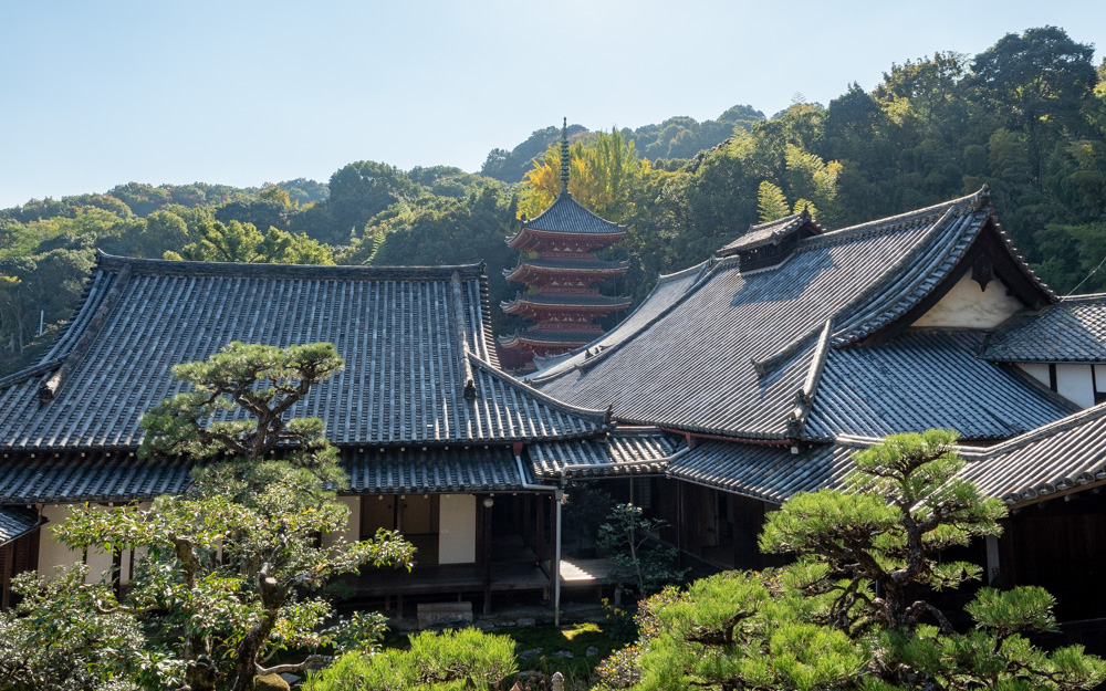 明王院:護摩堂からの眺め