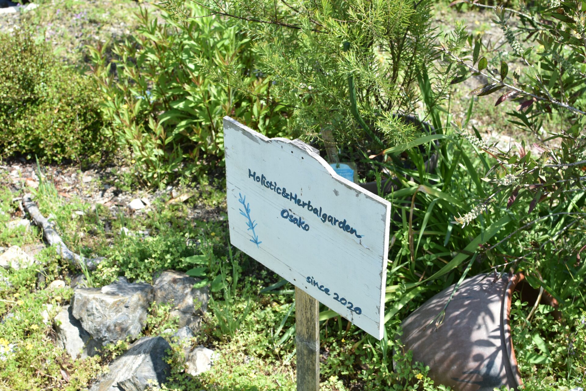 ハーブ畑の入口